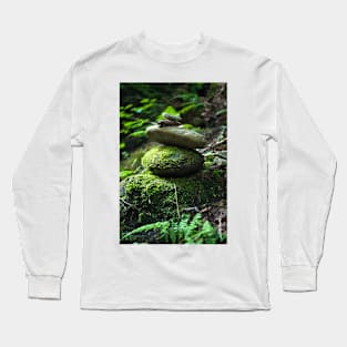 Balancing Rocks Long Sleeve T-Shirt